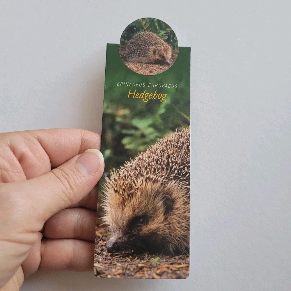Cardmarks Hedgehog Nature Animal Info Magnetic Magnet UK Company If 2408 Y2k 00s